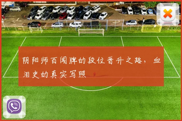 阴阳师百闻牌的段位晋升之路,血泪史的真实写照